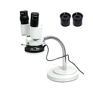 Stereo Microscope